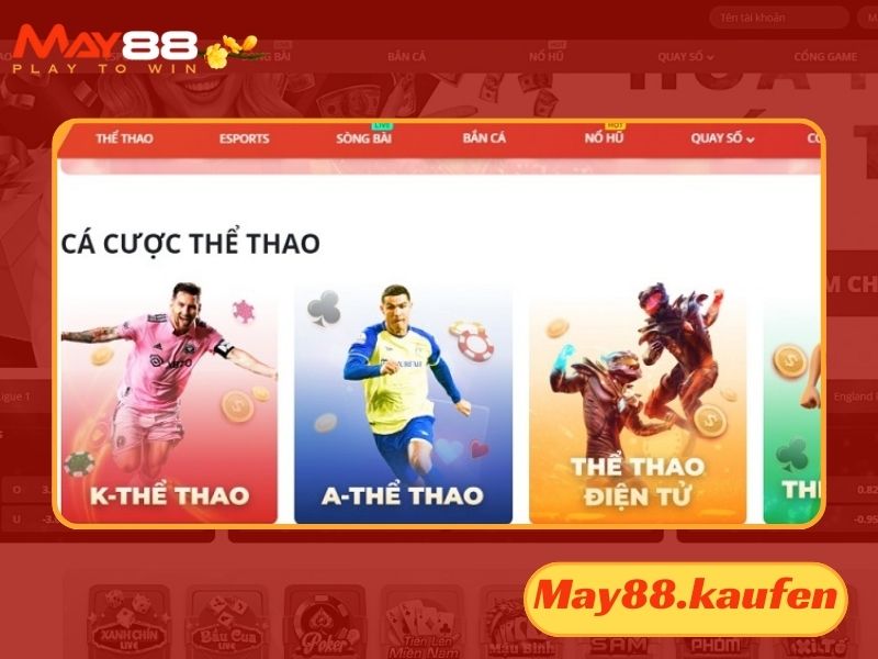 Các thông tin được thu thập khi tham gia cá cược