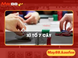 Xì phé 7 cây là biến thể thịnh hành rộng khắp hiện nay